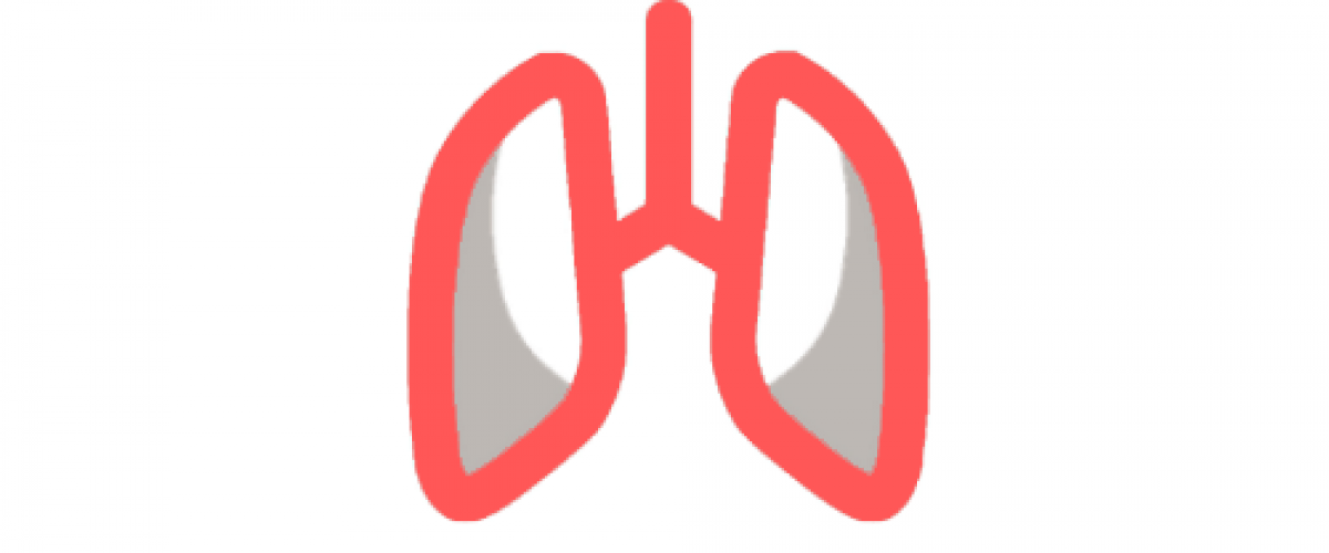 respiratorio_web_v2